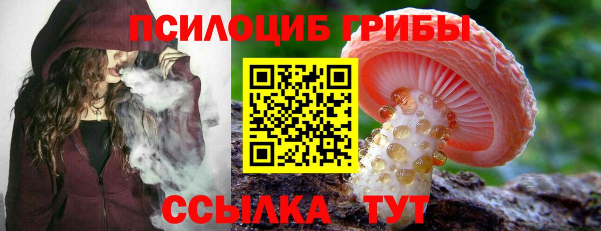 Псилоцибиновые грибы прущие грибы Саратов